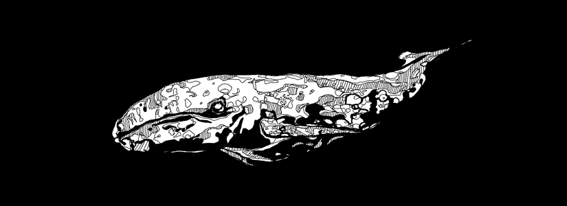 CHENZO Art CHENZO Art