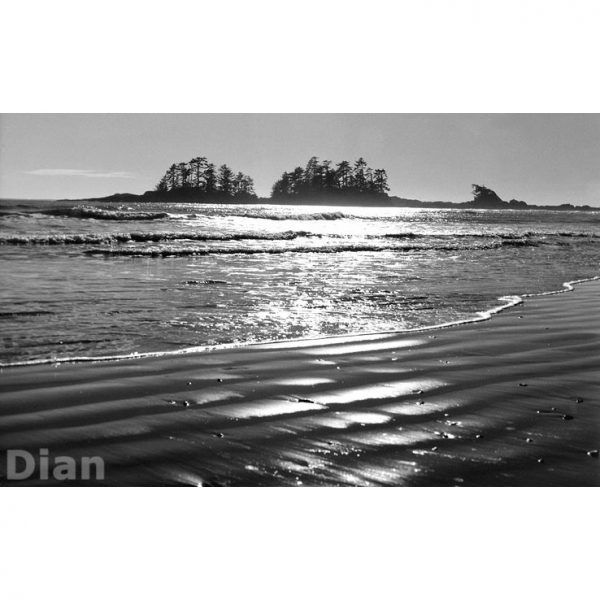 Dian McCreary Fine Art Photography - South Chesterman Beach 4