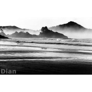 Dian McCreary Fine Art Photography - Morning Mist at Sunset Point