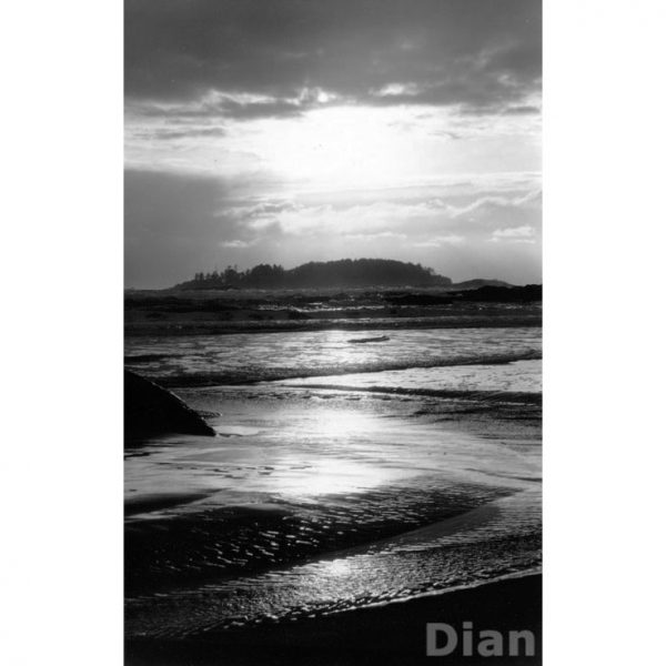 Dian McCreary Fine Art Photography - Lennard Island