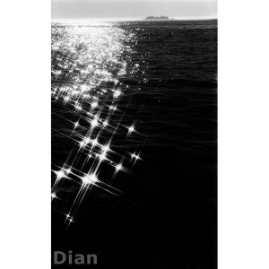 Dian McCreary Fine Art Photography - Shining Sea