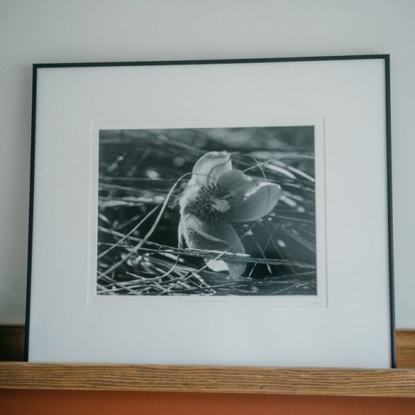 Dian McCreary Fine Art Photography Example Images in Rag Mat and Framed